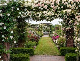 Features of a traditional English garden
